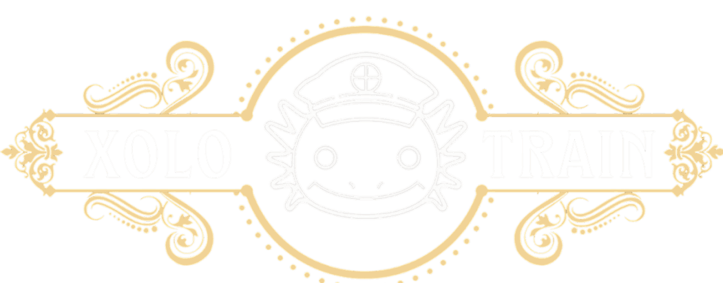 Xolotrain logo